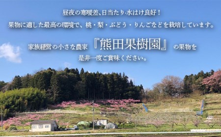 りんごの木のオーナー1本 サンふじ 葉とらずりんご F21R-885