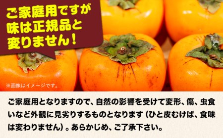 たねなし柿約7.5kg
