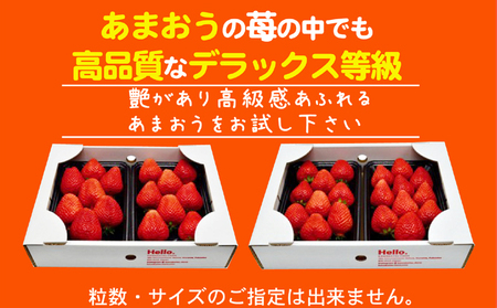あまおう DX等級のみ 約1.04kg 約260g×4パック ※配送不可：北海道・東北・沖縄・離島 果物 苺 フルーツ デザート 旬 大粒 中玉 大玉 旬のあまおう 