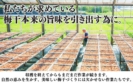 南高 さくら 梅干 500ｇ 杉箱入り 農悠舎 の 厳選素材 ｜梅干し 有限会社 農悠舎 
