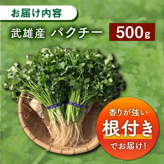 パクチー好きのための パクチー 500g [UBF008]