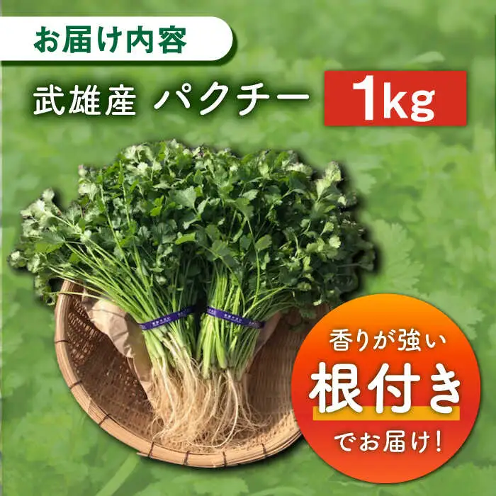 パクチー好きのための パクチー 1kg [UBF009] 
