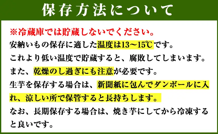 安納芋 さつまいも 10kg【永濱農園】n084