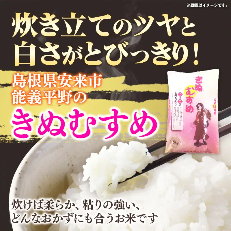 五ツ星お米マイスター 能義平野の「こだわり米」食べ比べセット 10kg 【 令和7年産 コシヒカリ きぬむすめ 各5kgずつ 精米 白米 ご飯 お米 美味しい 安心 安全 沼田米穀店 島根県 安来市】【価格変更X】【22-NB-01】