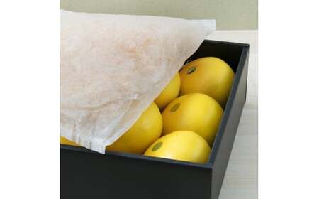 【先行予約】秀品 ☆高知産?土佐文旦☆?3L?8玉入【贈答用】〈2027年1月下旬頃より順次発送〉/ 柑橘 フルーツ 先行予約 ぶんたん ブンタン 果物 お取り寄せ【TAMURAKAJUEN】