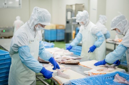 刺身 冷凍 鱧 鯛 イカ うお!づくし三種 鍋 しゃぶしゃぶ 天然 海鮮 魚介 産地直送 伊予市 愛媛県産 国産 下灘 |B103