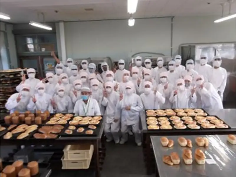 パン 無添加 老舗 4個セット ブレッド おまかせ ランダム 詰め合わせ ブランド認定 学校給食 朝食 朝ごはん 季節 おすすめ はだか麦 国産小麦 国産素材 おやつ こだわり 食物繊維豊富 安心 安全 篠崎ベーカリー 愛媛 伊予市 ｜B66