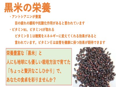 【新米受付・令和8年産米】新潟県村上市岩船産 特別栽培米・ちょっと贅沢なこしひかり4kg（2kg×2袋）＆古代米50ｇセット NA4170
