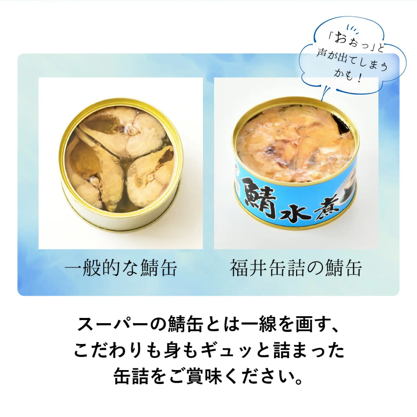 鯖缶 12缶 詰め合わせA  さば缶 小浜市 / 福井缶詰  [BFAB034] 鯖缶
