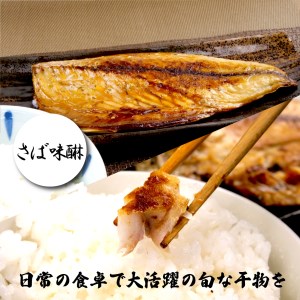 【定期便 3ヶ月】 干物 詰め合わせ 干物