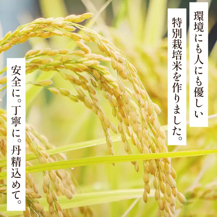 氷感熟成「つや姫」10kg（5kg×2袋）【特別栽培米 つや姫 10kg 島根県産 大田市産 米 氷感熟成 石見銀山氷感つや姫 減農薬 減化学肥料】