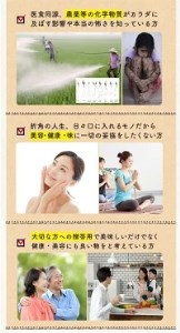 オーガニック 黒 ニンニク 1袋 にんにく 甘い 滋養強壮 ポリフェノール 発がん 予防効果 有機野菜 有機栽培 健康食品 有機JAS認証品 アースエイド 高知県 須崎市 EA099