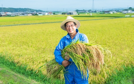 パックごはん 【令和7年産】特別栽培米 伊賀米みえのゆめ 真空パック 5kg【nsym0001】