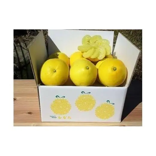 【早期予約】 土佐文旦 6kg 優品 混合