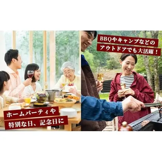 石垣牛特選サーロインステーキ200g×3枚 AB-20