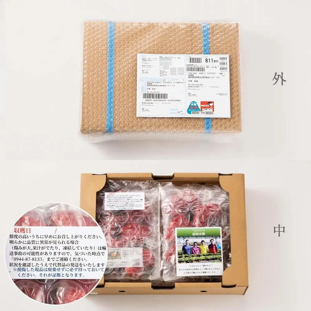 【2027年1月～4月出荷分予約販売】ボリューム満点てんこ盛り500g×2パック！完熟あまおう日替わりセット1000g