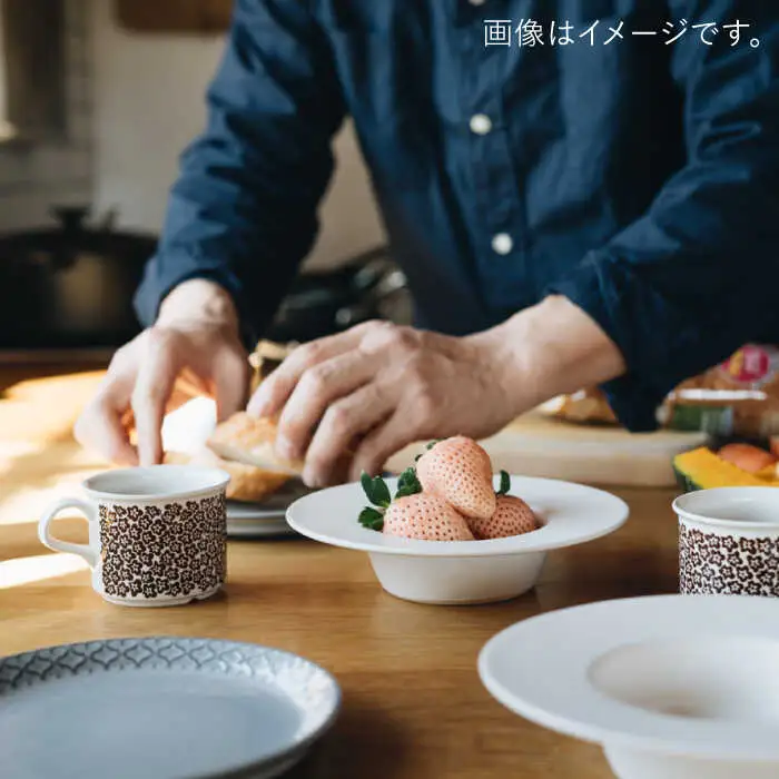 【波佐見焼】リム広ハット ボウル 白マット釉 2枚セット 食器 皿【イロドリ】[KE38] 波佐見焼