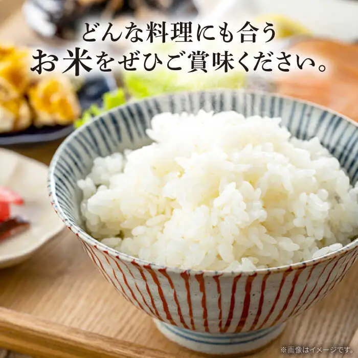 ヒノヒカリ 5kg×3回 定期便 / ひのひかり 米 お米 こめ コメ 精米 / 南島原市 / 林田米穀店 [SCO008]