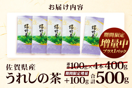 期間限定増量【ギフトにおすすめ】佐賀県産 うれしの茶 (やぶきた茶) 100g×5本【合計500g】美味しいお茶を贈り物に B-570
