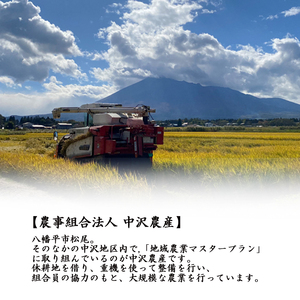 新米 先行予約 【令和8年産】 ひとめぼれ 精米 10kg （5kg×2袋）《2026年11月中旬より順次発送開始予定》 ／ 白米 岩手県産 中沢農産