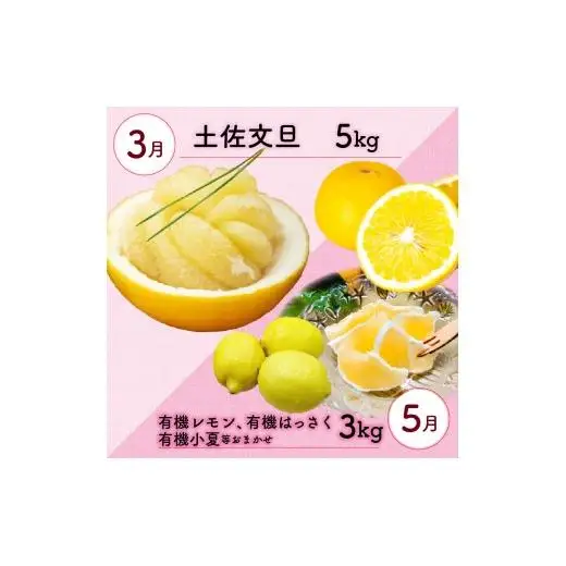 定期便 6回 6ヶ月 果物 ぽんかん 土佐文旦 レモン はっさく 小夏 ジュース