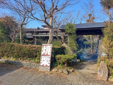 和栗ジェラート（熟成やきぐりあいす）12個入り