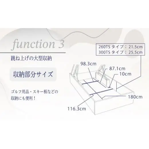 フランスベッド BG-001（跳ね上げ収納タイプ 260mm）セミダブル【ベッドフレームのみ】R-294