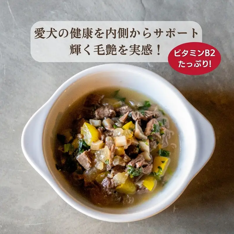 ウェットドッグフード 無添加 国産 皮膚ケアタイプドッグフード 野菜と鹿肉 5パック