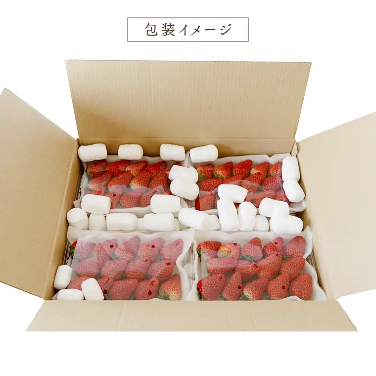 【 定期便 】 合計3kgお届け いちご の3ヶ月連続お届け便 （1回：250g×4パック）×3回 【2027年1月より発送開始】（茨城県共通返礼品 [いちご]：城里町産） フルーツ 果物