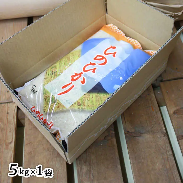糸島産 ひのひかり 5kg 糸島市 / 三島商店 [AIM003] 米 白米