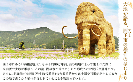 ＜令和8年産 大竹農園 コシヒカリ 約5kg＞ こしひかり コメ 白米 精米 ご飯 新鮮 旨味 大粒 ふっくら もちもち モチモチ お弁当 朝ごはん お昼ごはん 夜ごはん 特産品 愛媛県 西予市 【常温】『1か月以内に順次出荷予定』 UON0003