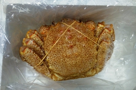 【北海道根室産】毛がに450～500g×1尾 B-57025