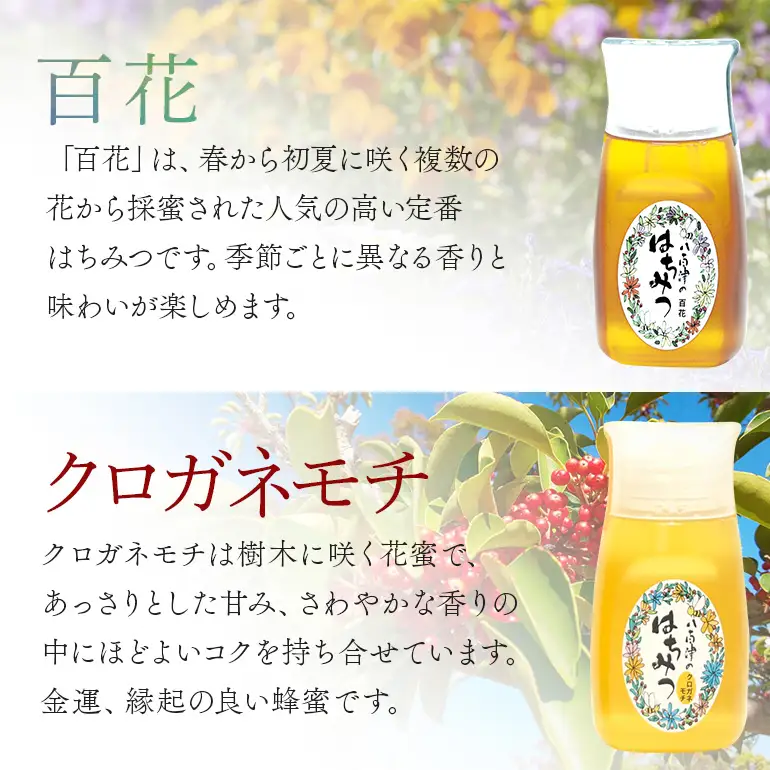 はちみつ 百花 クロガネモチ 各300g 計2本 天然 非加熱 純粋 生 はちみつ 蜂蜜 食べ比べ