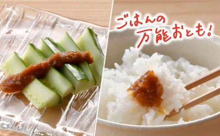 【全3回定期便】にんにく味噌 にんにくチップ フレーク 詰め合わせセット 万能調味料 国産【野下上絵】[LE15]