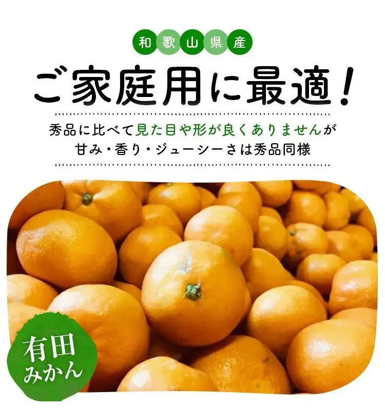 ご家庭用 完熟 有田みかん 3kg［2026年11月発送予定］訳あり［MS3-1］｜みかん