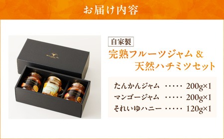 【 自家製 】 完熟 フルーツジャム & 天然 ハチミツ セット A006-002 ジャム ジャムペースト ソース 蜂蜜 はちみつ ハニー フルーツ 果物 たんかん タンカン マンゴー 島ざらめ 着色料 保存料 不使用 奄美大島産 奄美産 たんかんジャム マンゴージャム それいゆハニー 詰め合わせ 詰合せ それいゆふぁ～む ソレイユスマイル ふるさと納税 鹿児島 奄美市 おすすめ ランキング プレゼント ギフト