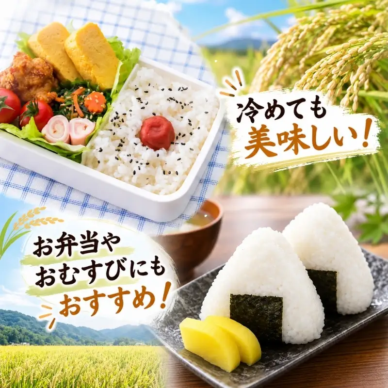 米 令和7年産 無洗米 伊賀米コシヒカリ 10kg（5kg×2）【jaig0005】
