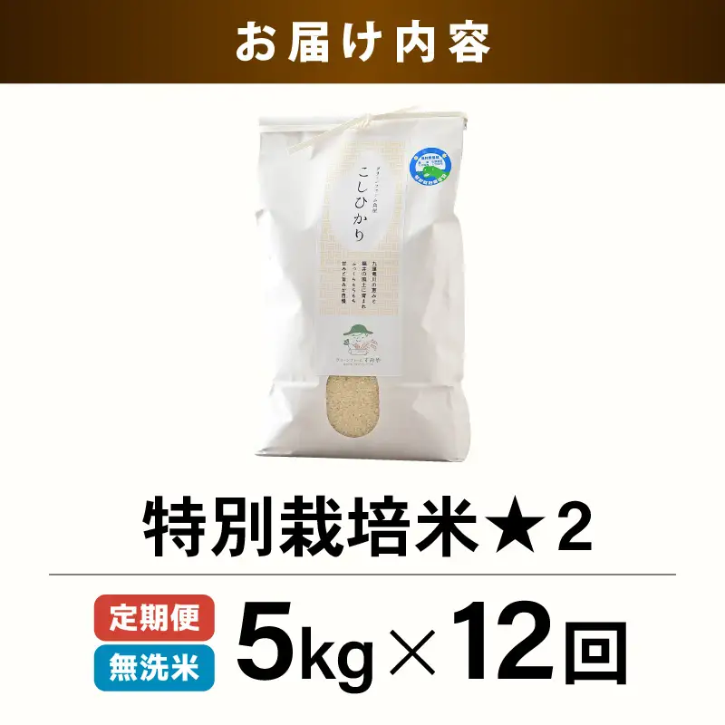 【先行予約】【令和8年産】《定期便12回》特別栽培米 コシヒカリ 5kg × 12回 （計60kg） 無洗米 低農薬 / 北陸 福井県産 あわら市 ブランド米 白米 お米 コメ 特栽米 ※2026年10月上旬以降順次発送予定 [aw056-k001]