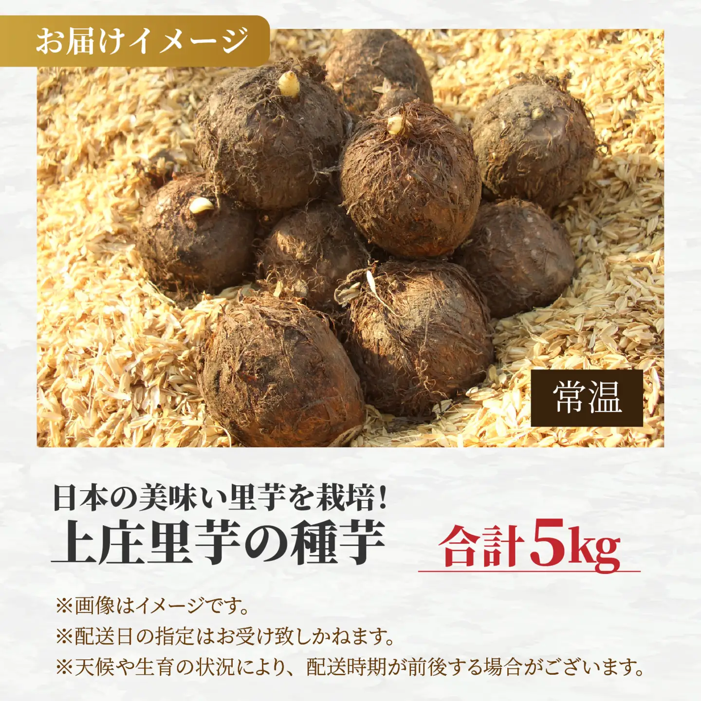【先行予約】日本の美味い里芋を栽培！上庄里芋の種芋 5kg【2027年3月10日～出荷】[B-001005]