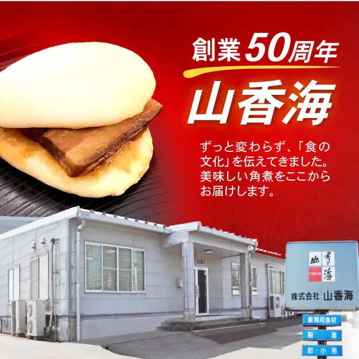 角煮まんじゅう 6個 / 角煮まんじゅう 角煮まん まんじゅう 肉まん / 諫早市 / 株式会社山香海 [AHBH004]