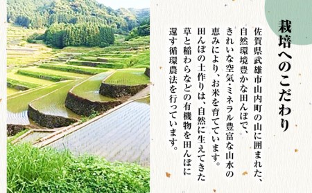 栽培期間中農薬不使用 令和7年産 伊勢ヒカリ 玄米 5kg /鶴ノ原北川農園 [UDL003] 玄米