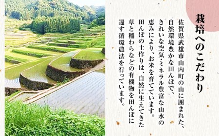 栽培期間中農薬不使用 令和7年産米 伊勢ヒカリ 無洗米 5kg /鶴ノ原北川農園 [UDL004] 米 無洗米
