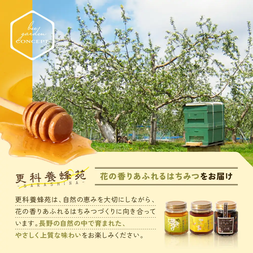 信濃乃国の純粋はちみつとこの実 国産 ギフト ハニーナッツ 詰め合わせ 蜂蜜 ハチミツ |はちみつ 