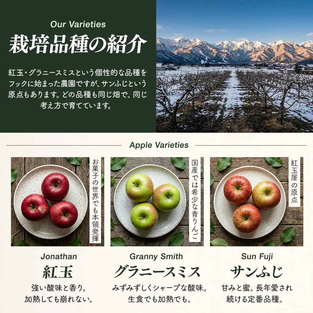 紅玉屋　際立つ酸味！ 長野市産 グラニースミス 約4.5kg （お菓子作り・酸っぱいりんご好き専用） 希少品種 林檎 クッキングアップル | りんご