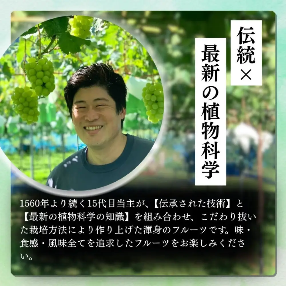 おかべ農園　長野市産サンふじ 約5kg(13～16玉)【2026年12月上旬頃発送予定】OKABE fruits  |リンゴ リンゴ
