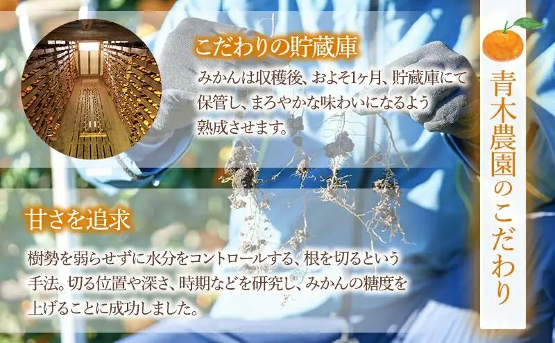 【1月中旬より順次発送】青木農園 青島みかん 5kg【配送不可：離島】◇