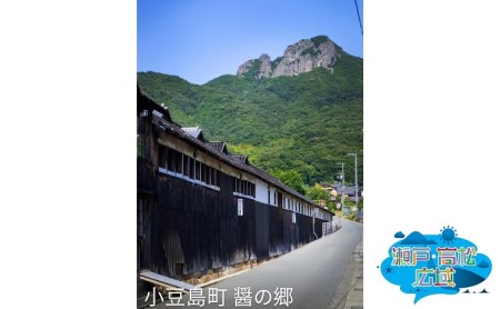 「瀬戸・たかまつネットワーク」貸切クルーザーで巡る香川県（直島・豊島方面）2日間 チケット 旅行券 観光 