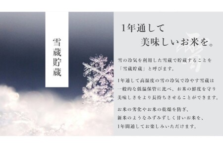 【令和8年産先行予約】 定期便 5kg ×6ヶ月 雪蔵貯蔵 無洗米 金賞受賞 魚沼産コシヒカリ 雪と技 農薬5割減・化学肥料5割減栽培 |津南町 魚沼
