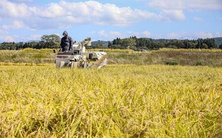 【令和8年産】【6ヶ月定期便】10kg(10kg×1袋) 県認証 魚沼産新之助 |津南町 コシヒカリ 定期便