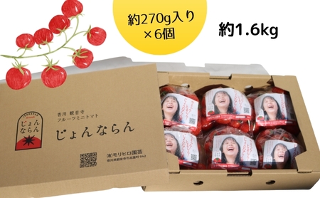 ミニトマト じょんならん モリヒロ園芸 ご自宅用 ミニトマト